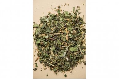 Ecological tea „For bronchi“