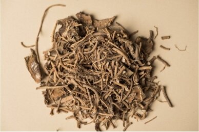 Medicinal valerian roots with rhizomes